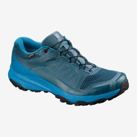Salomon XA DISCOVERY GTX W Womens Trail Running Shoes Blue | Salomon South Africa